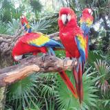 Visit Xcaret Ecological Park