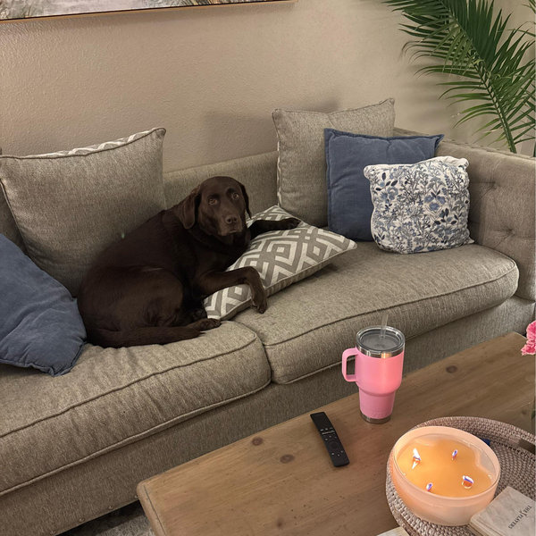 New couch fund!