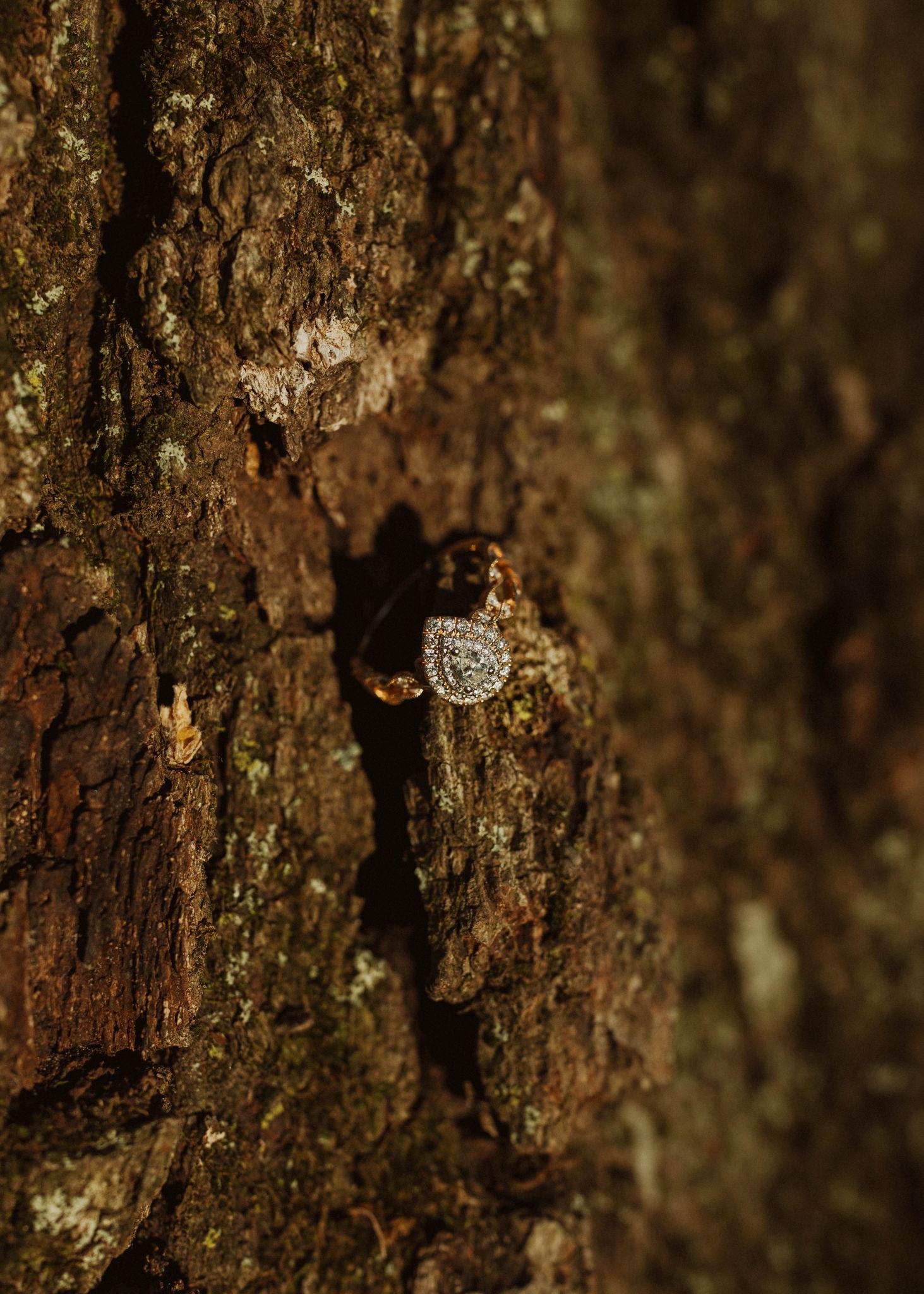 The Wedding Website of Elana Verbridge-Day and Zach Rodrick