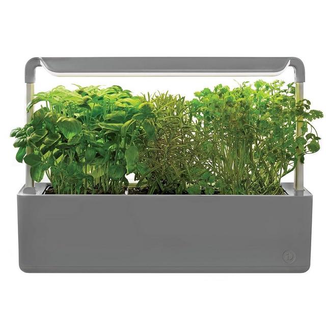 iDesign Countertop Self-Watering Plant Pot Center with Grow Light and 3 Plant Pots, Charcoal