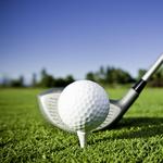 Ye Nyne Olde Holles Golf Club