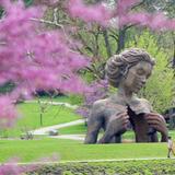 The Morton Arboretum