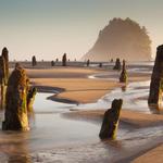 Neskowin Beach