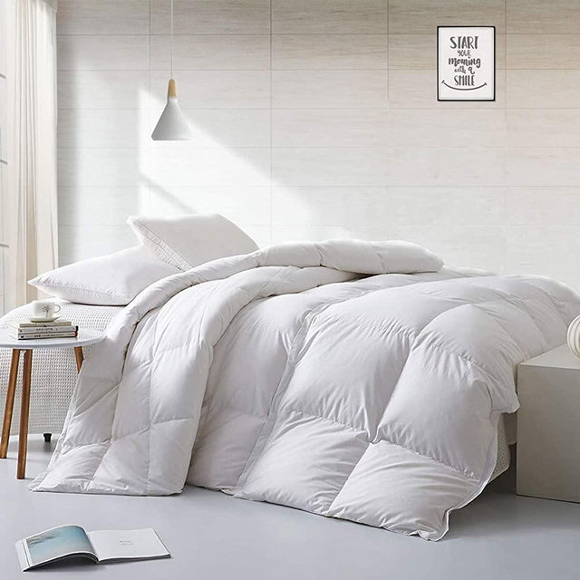 APSMILE Lightweight California King Size Goose Feathers Down Comforter Duvet Insert for Warmer Climates-Soft 750 Fill-Power Hotel Collection Comforter, 41 Oz Light Warmth (104x96,White)
