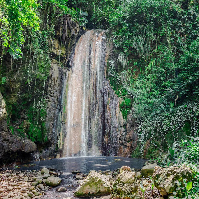 Waterfall and Mud Bath Excursion
