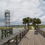 Pitt Street Bridge