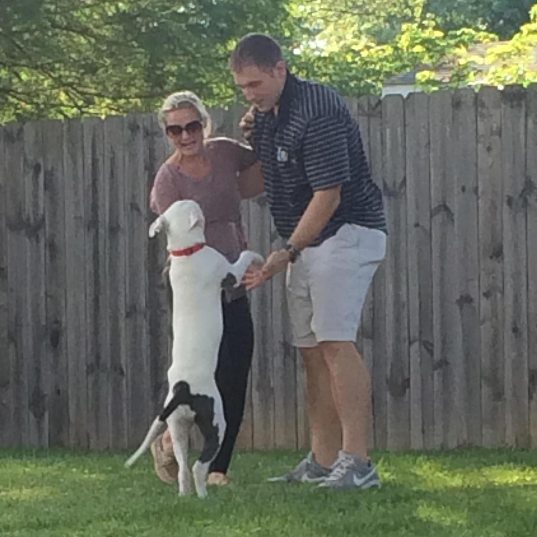 Our first family photo with Bogey