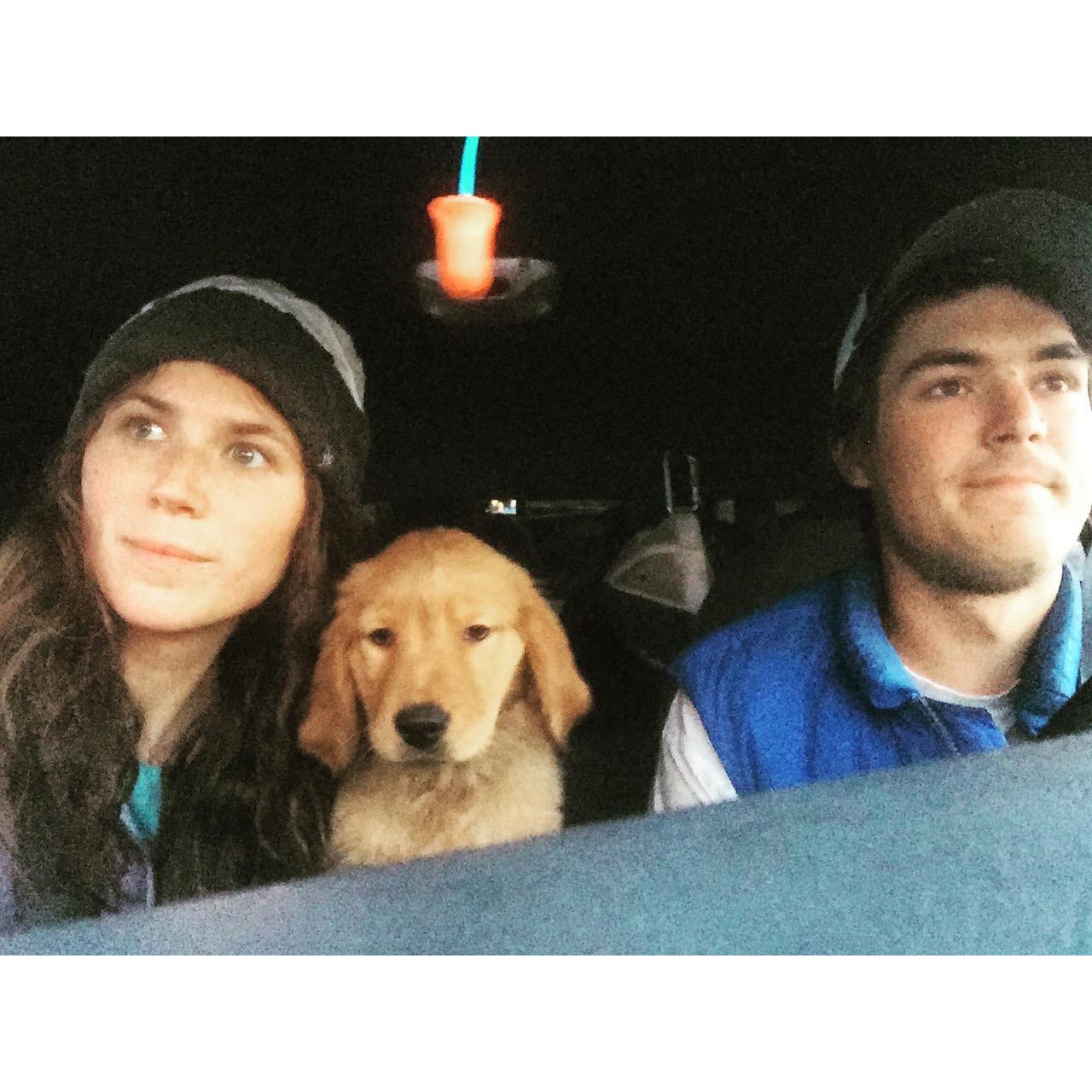We got a dog! 
Somewhere between Coeur D'alene, ID and Winthrop, WA
2016