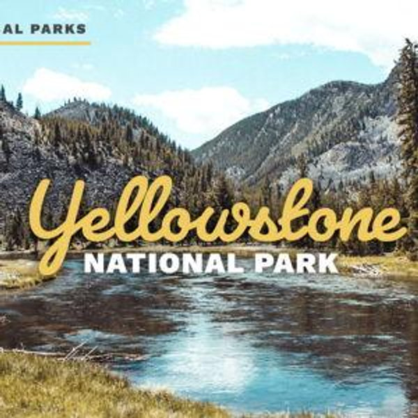 Honeymoon to Yellowstone Fund