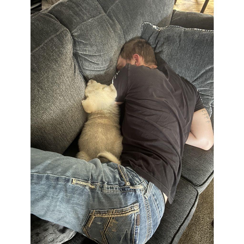 Puppy naps with dad