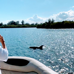 Boat Rentals