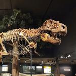 Museum of the Rockies