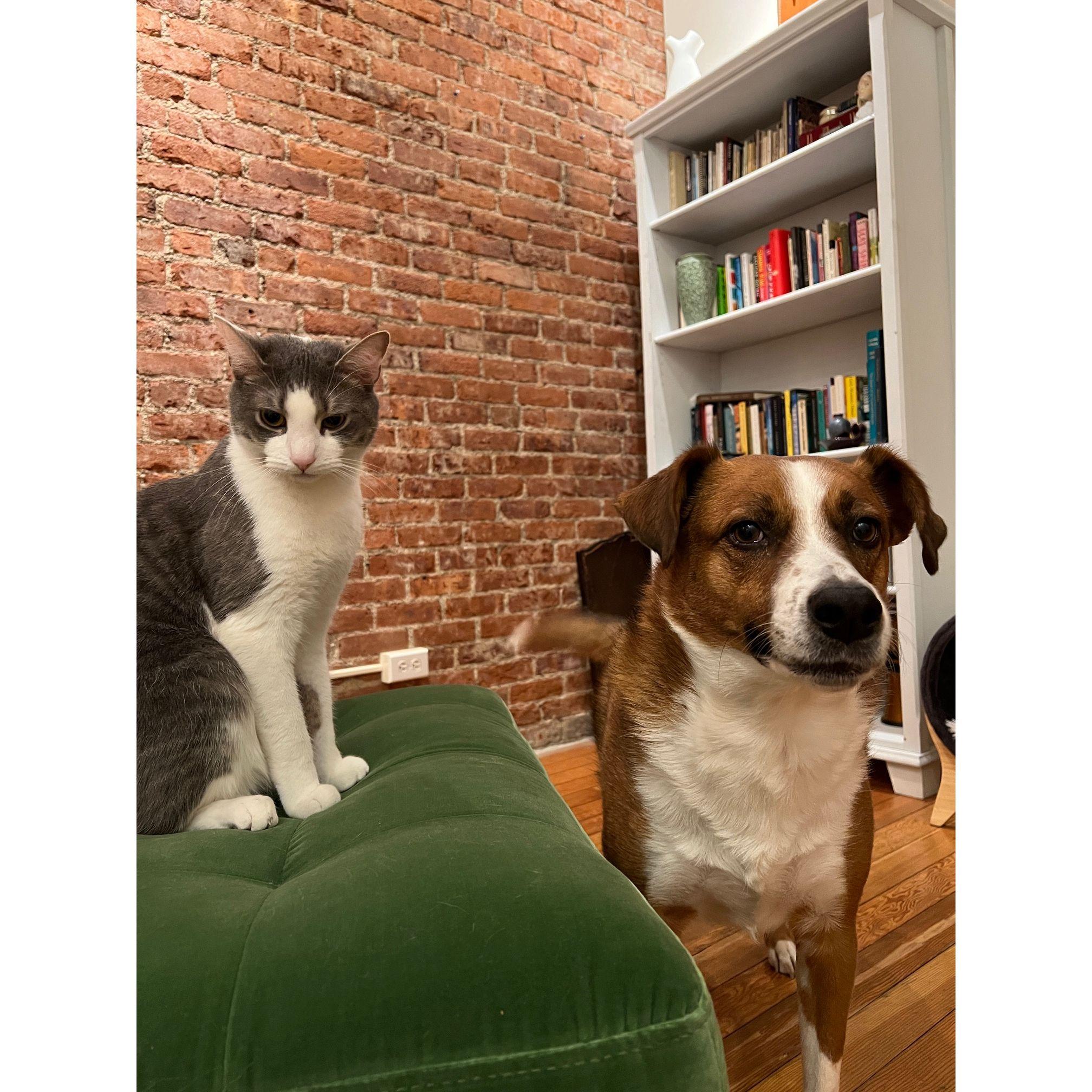 Linus and Benny