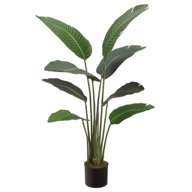 Faux Bird Of Paradise Plant With 12 Leaves, 6.25'