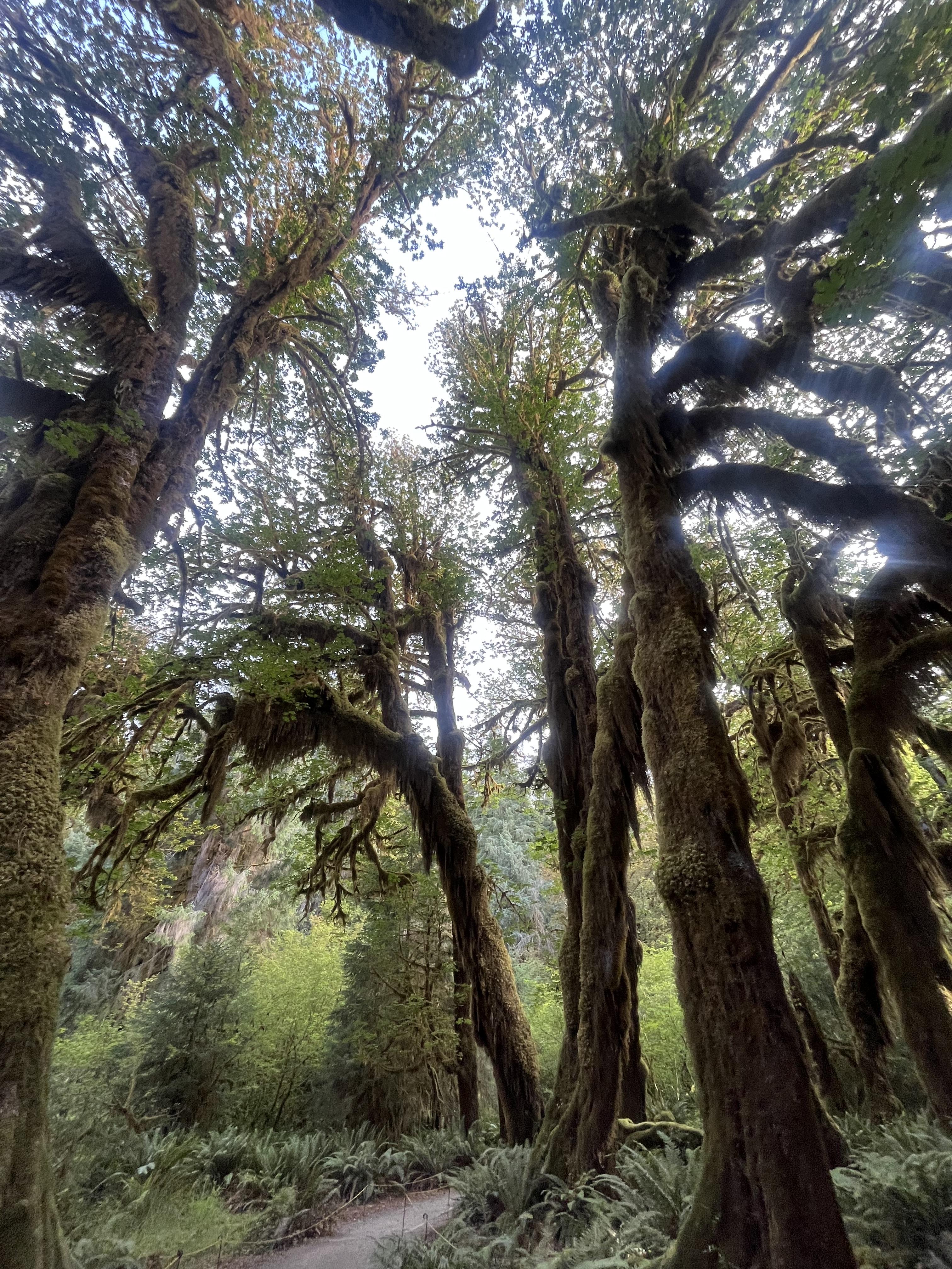 The Wedding Website of Mary Almaraz and Manny Harmon