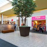 Cherry Hill Mall