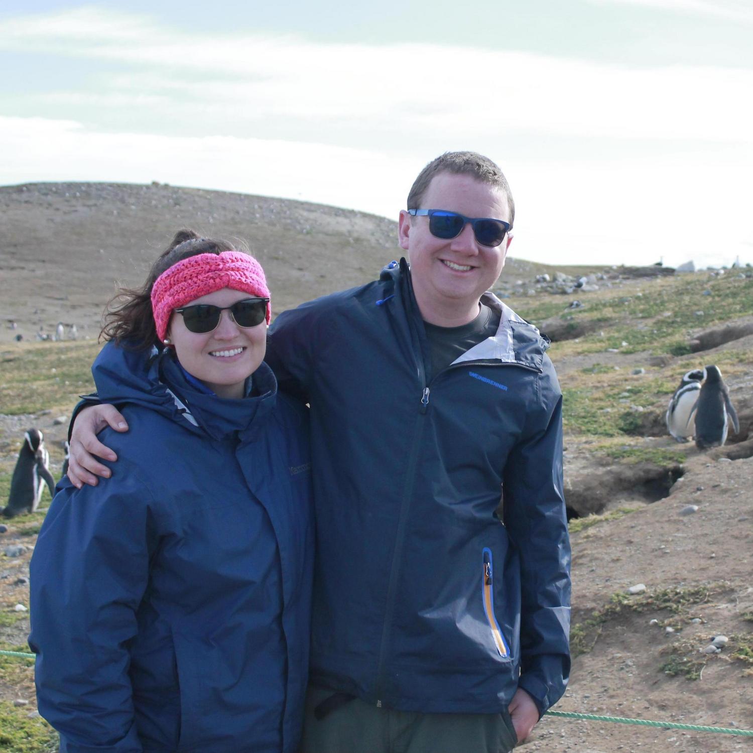 On an Island of Penguins