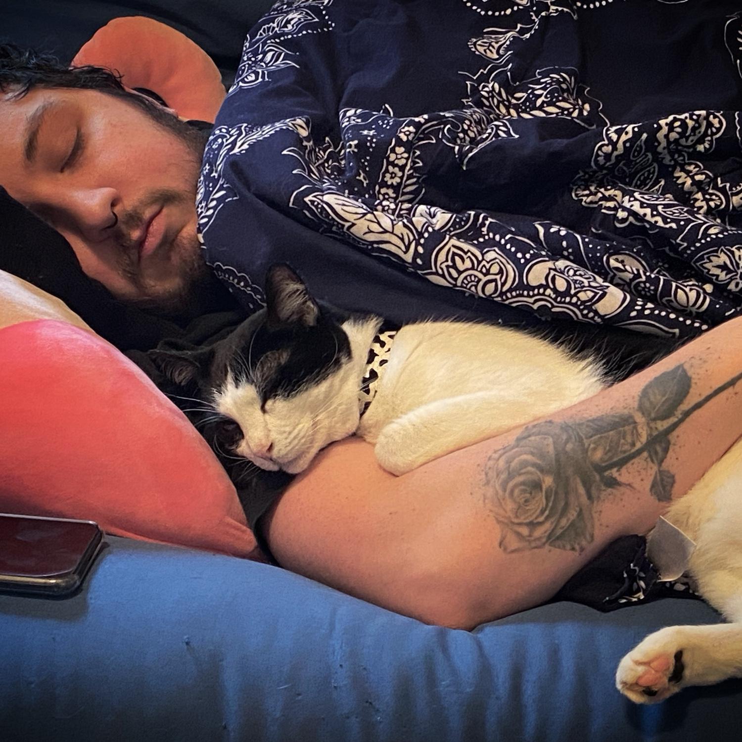 Gabi's cat Moocow napping with Sam