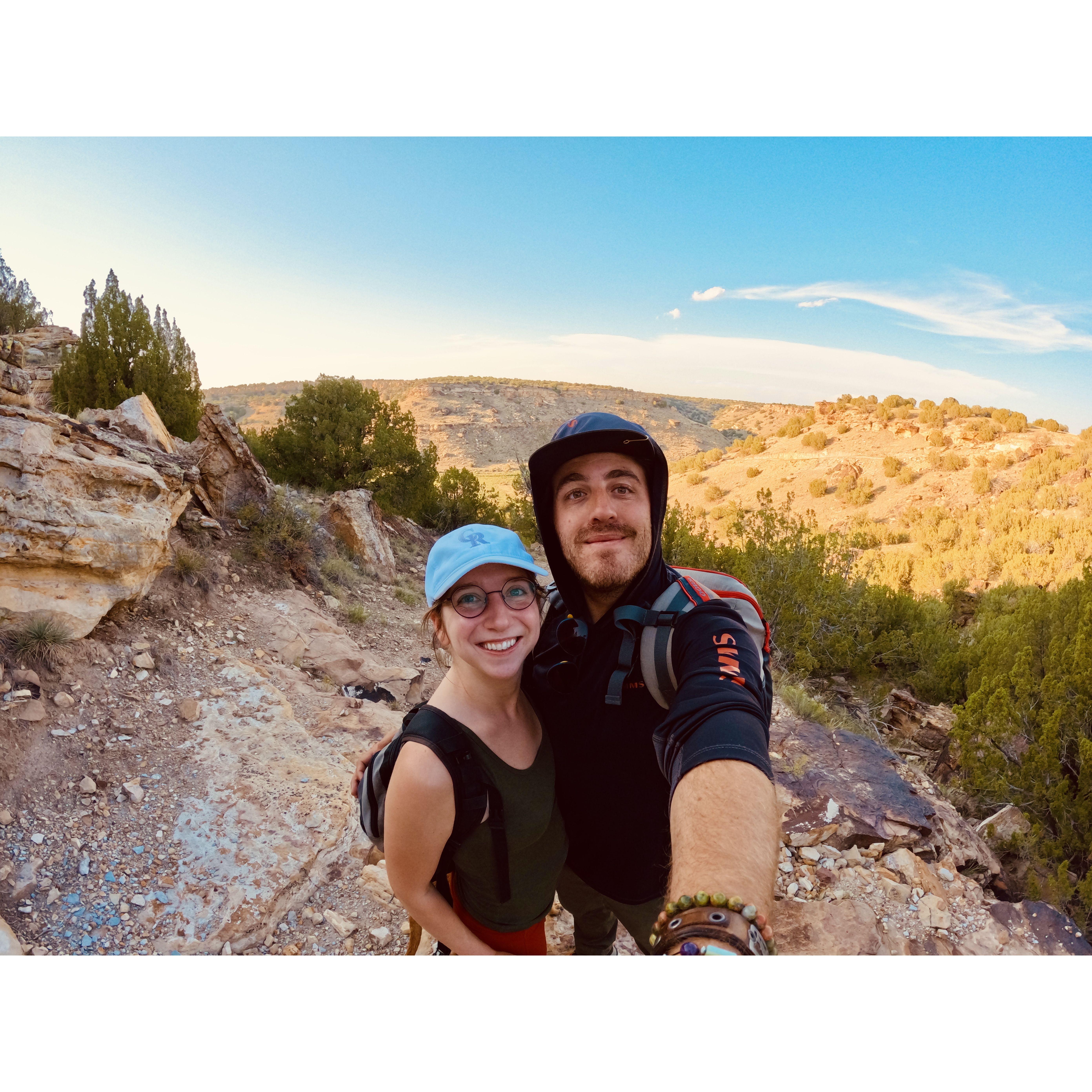 Searching for spiders in the dessert
