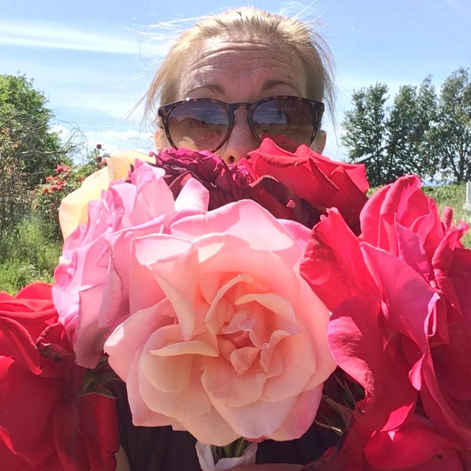 Roses at the ranch, 2017