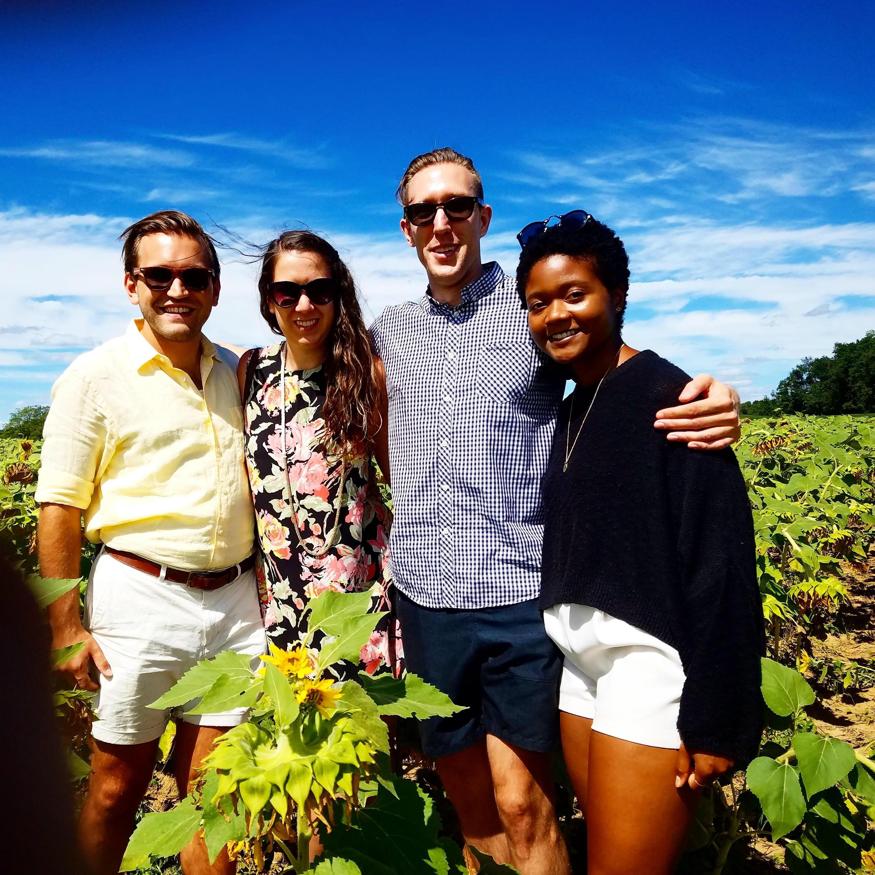Sunflower field adventure with Lance and Hermonie