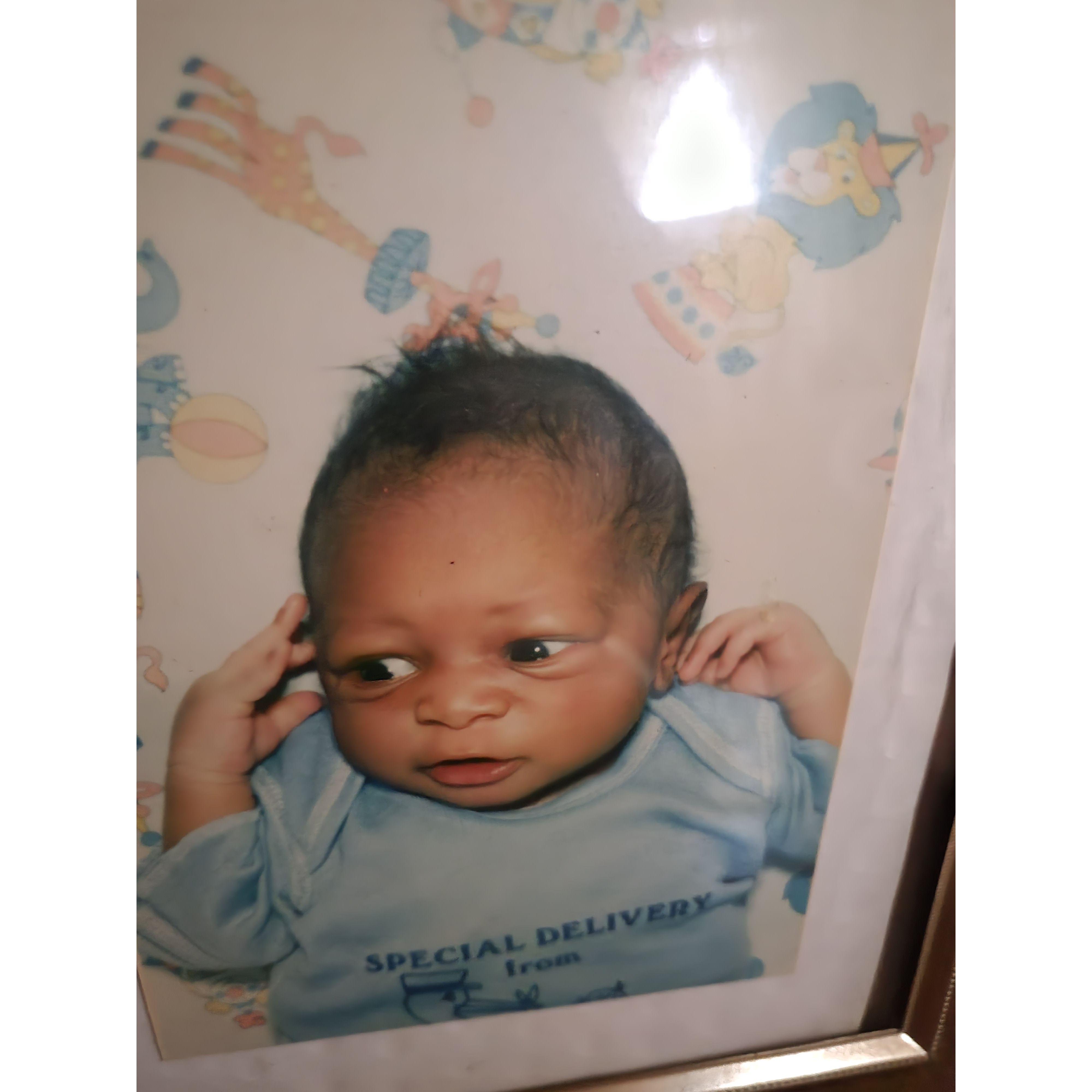 Baby Bernard