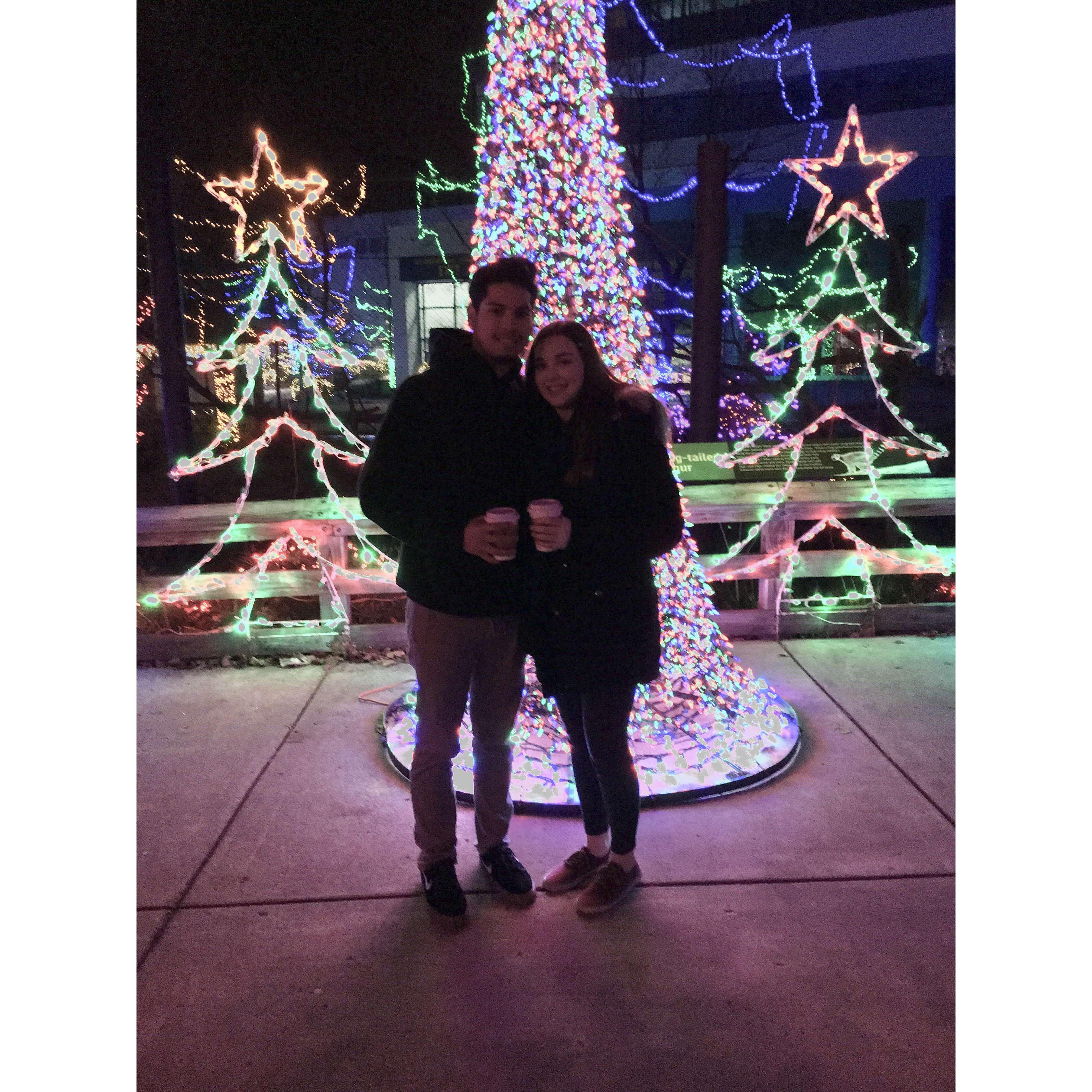 Our first Christmas together! We visited The Indianapolis Zoo to see Christmas lights.