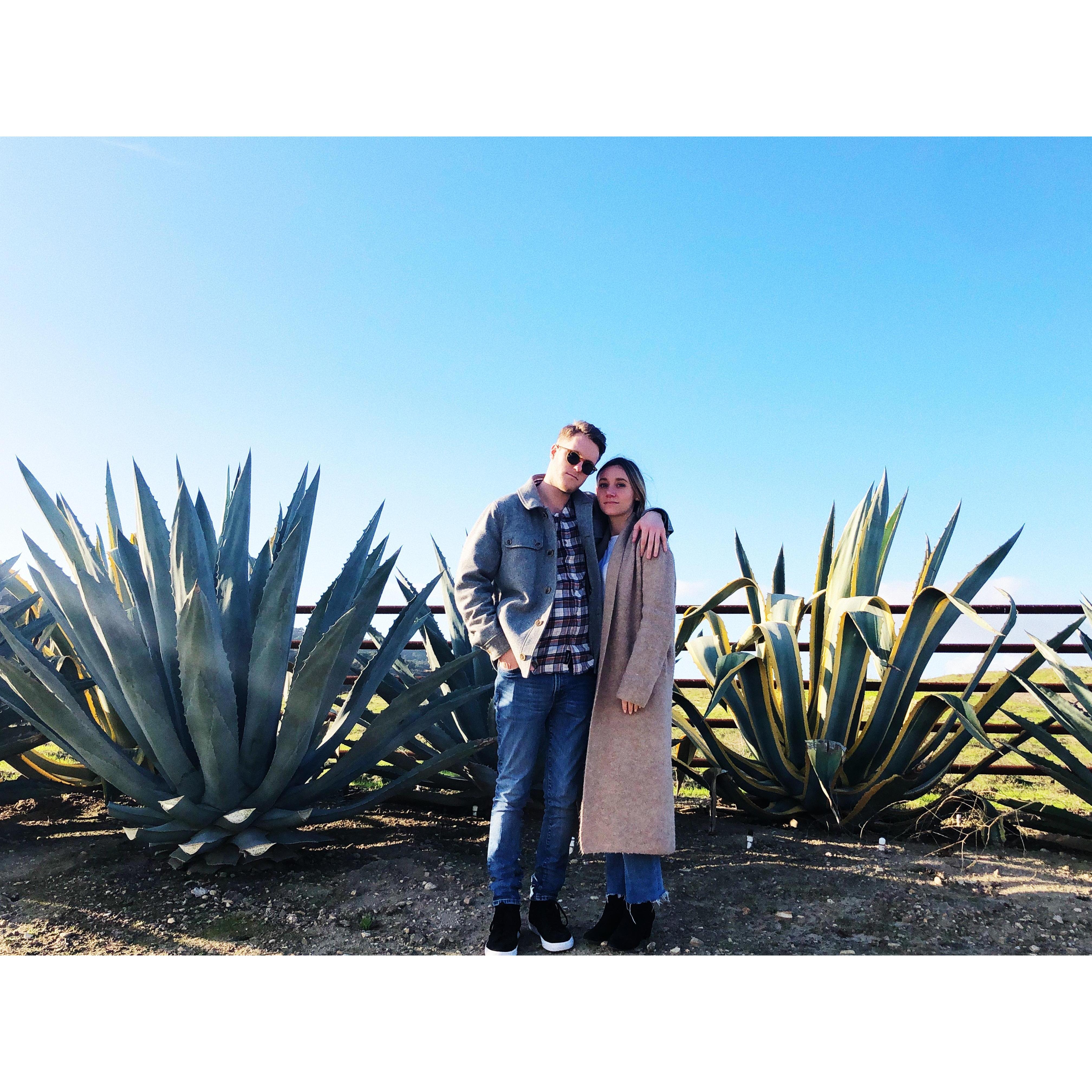 Outside of Zaca Mesa Winery - 2019