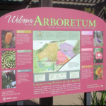 UC Santa Cruz Arboretum