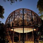 Pease Park Treehouse