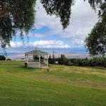 Ali'i Kula Lavender