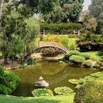 The Huntington Library, Art Museum, and Botanical Gardens