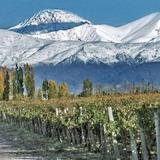 Mendoza