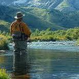 Fly Fish the Provo River