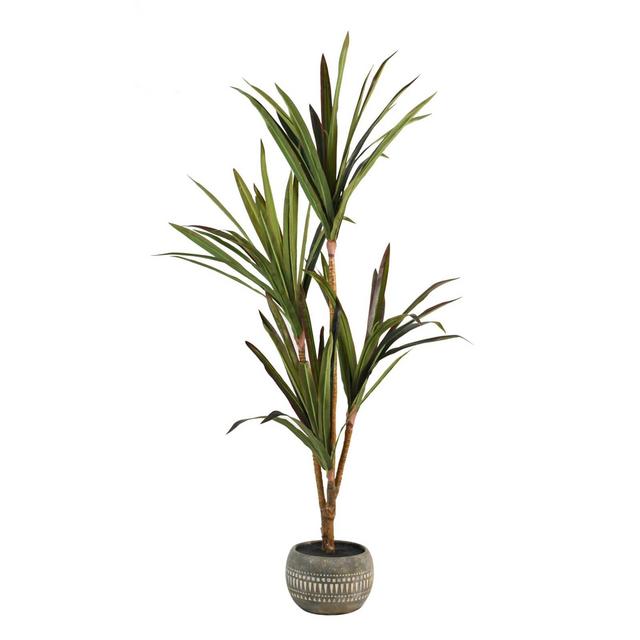 Wild Sage™ 55-Inch Potted Floor Plant