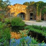 Lady Bird Johnson Wildflower Center