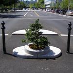 Mill Ends Park