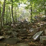 Blue Hills Reservation