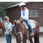 Alpine Meadows Stables