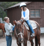 Alpine Meadows Stables