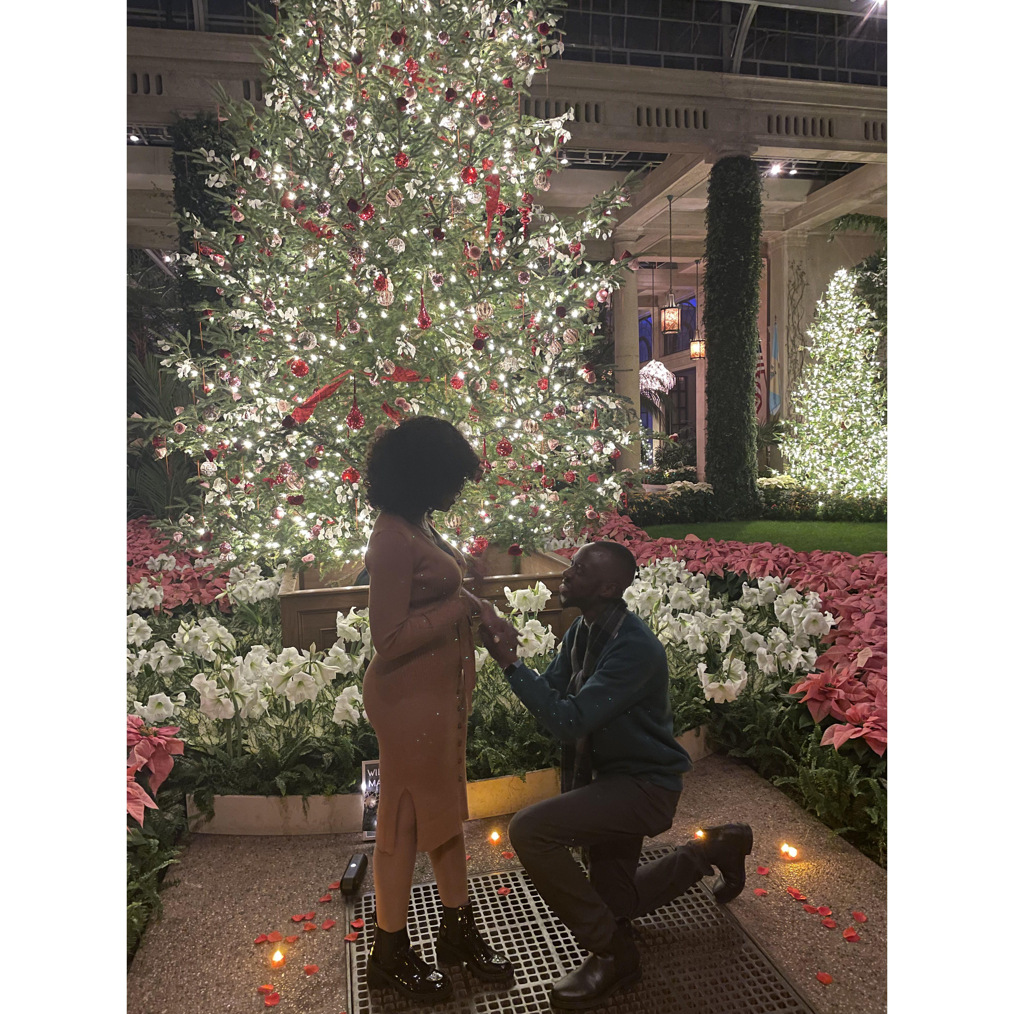 The moment Adeolu asked her to marry him