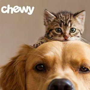 CHEWY eGift Card, Chewy Pet Lovers, $25 - Chewy.com