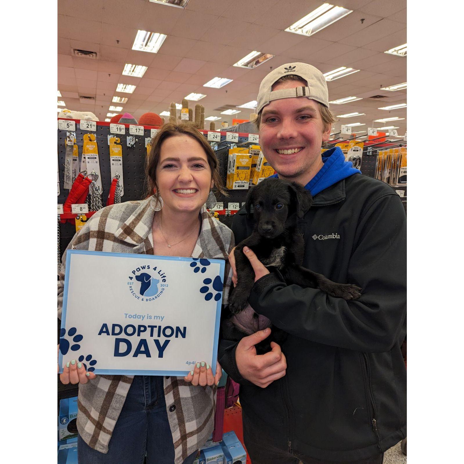 April 6th, 2024 - We adopted our third furry child, Gus!