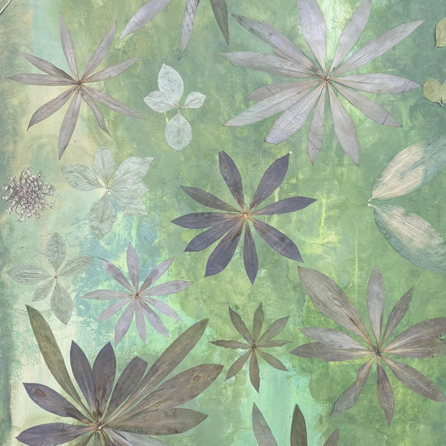 Pressed Florals (Meagan McRoberts!)