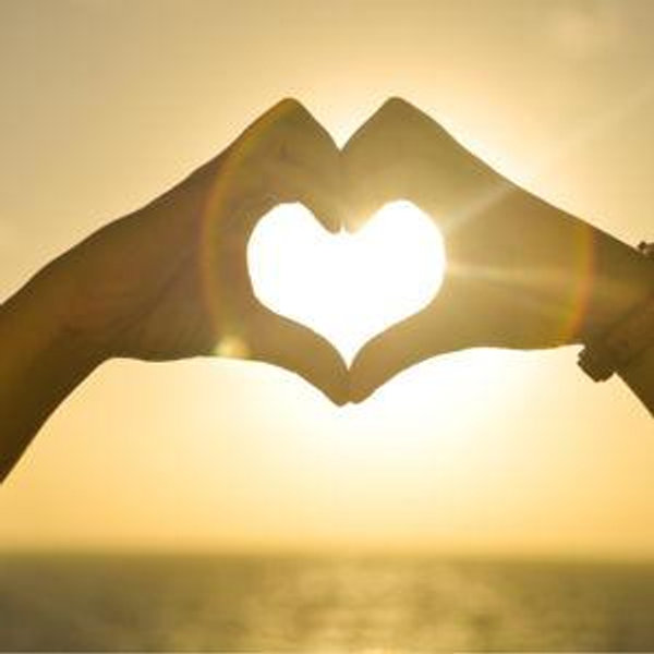 Well Wishes (Venmo)