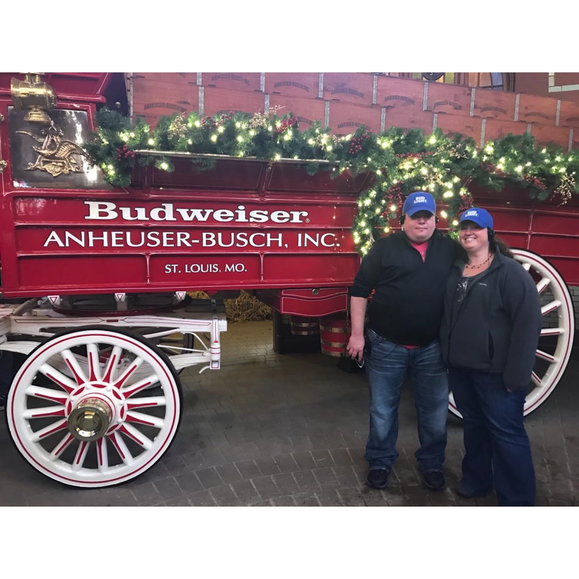 Weekend in St. Louis, touring the Anheuser-Busch brewery!