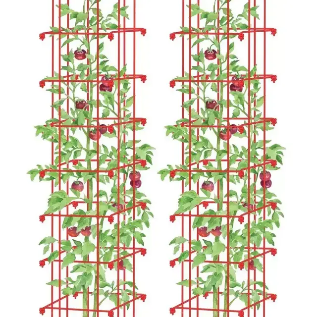 Tomato Towers, Set of 2