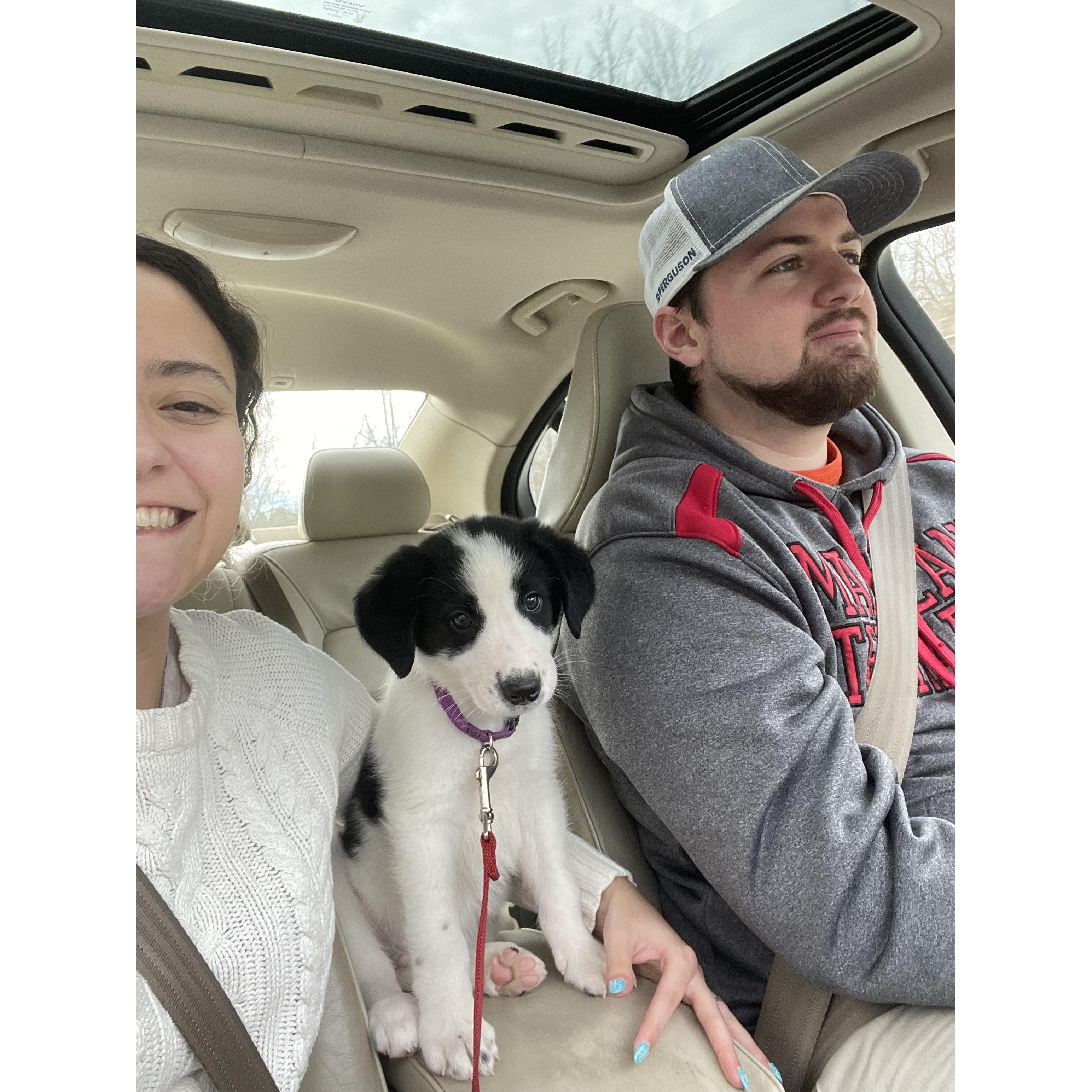 Car rides with the family