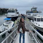 Coastal Boat Tours