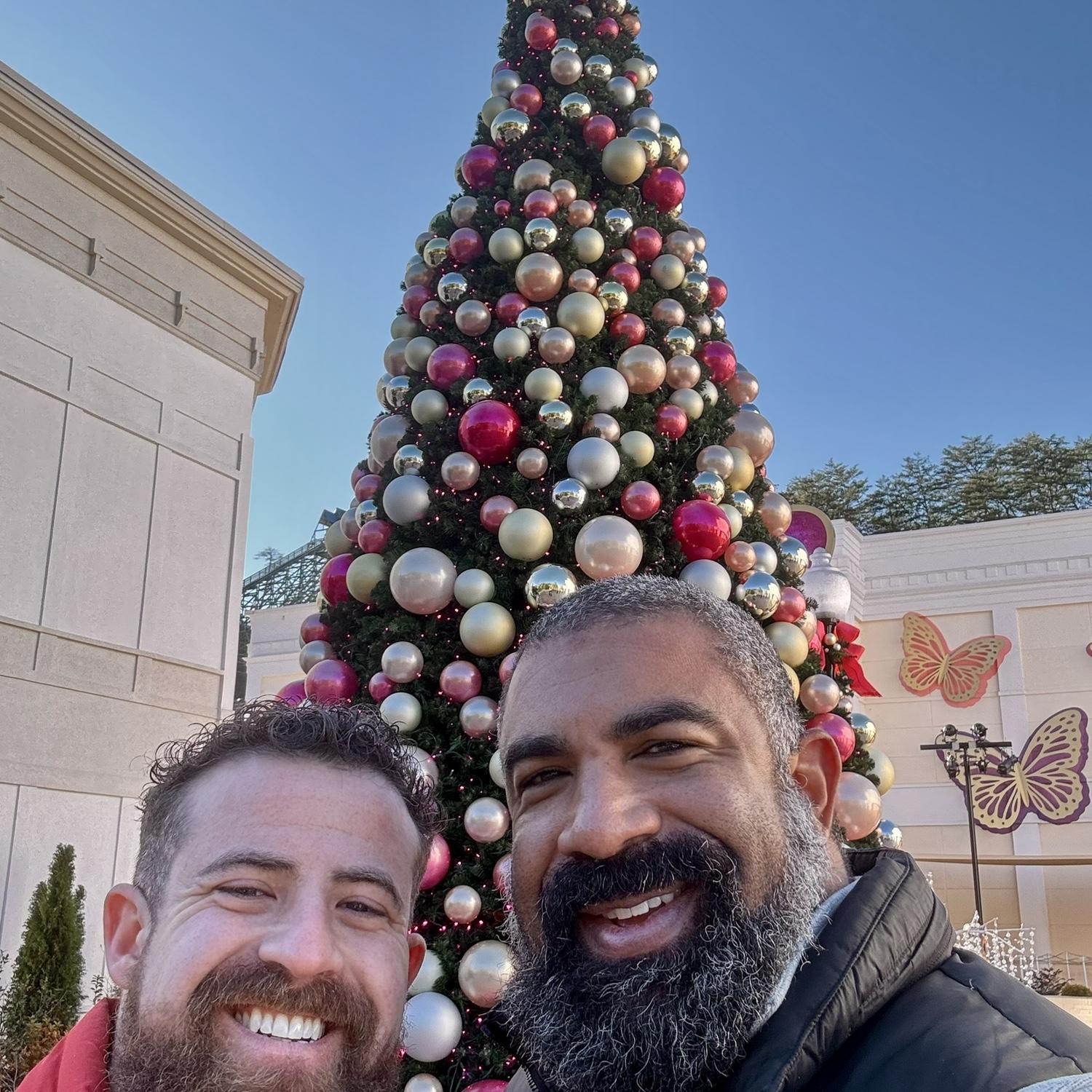 Dollywood - 12/2024
